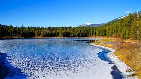 The Crystal Clear Water Flathead Lake In Montana Flathead Lake