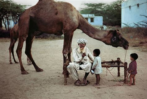 Steve Mccurry Photography Indian