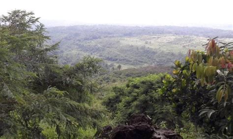 Tempat wisata di kuningan selanjutnya adalah hutan desa setianegara. 30 Tempat Wisata di Kuningan Terbaru & Terhits Buat ...