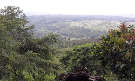 Hutan desa setianegara / harga tiket masuk dan alamat woodland kuningan destinasi wisata dengan suguhan view pinus daka tour. 30 Tempat Wisata di Kuningan Terbaru & Terhits Buat ...