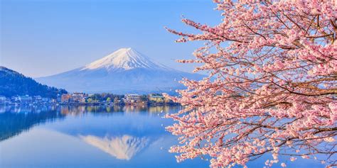 🥇 Cómo Llegar Al Monte Fuji Desde Tokio Mejores Lugares Para Verlo