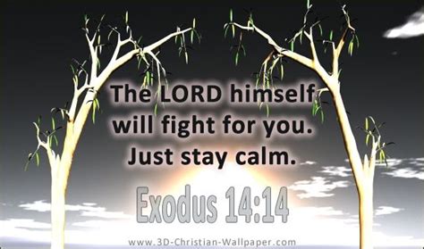 The Lord Himself Will Fight For You Just Stay Calm Inspirational
