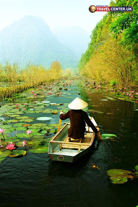 The Water Lily Filled Yen Stream In 2020 Beautiful Vietnam Asia