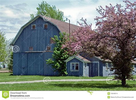 Flowering Crab Tree With Old Blue Barn In Springtime Description From
