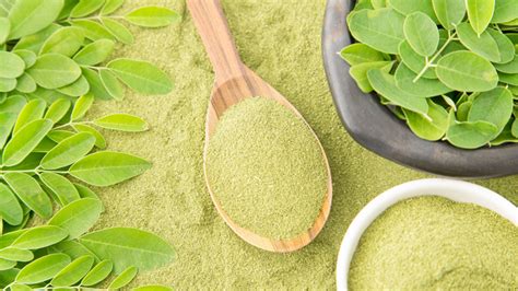 Moringa Uses History And Powerful Health Benefits Kuli Kuli Foods