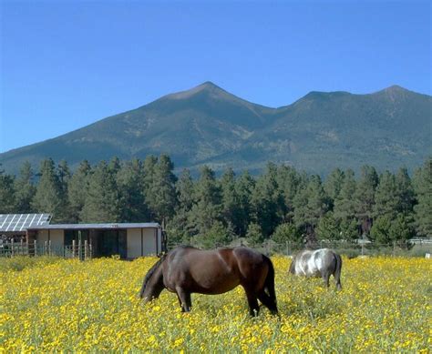 The Best Of Arizona Mountain Ranges Best Of Arizona