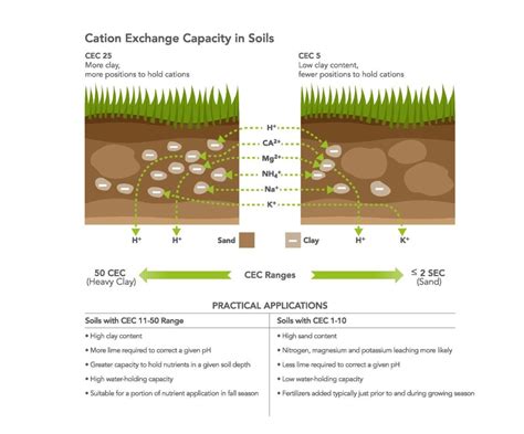 Soils Cation Exchange Intrepid Potash