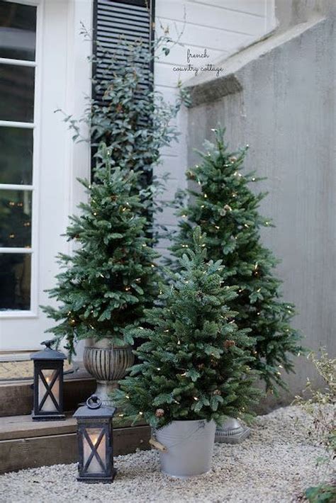 Amazing Outdoor Christmas Trees Ideas 24 Homishome