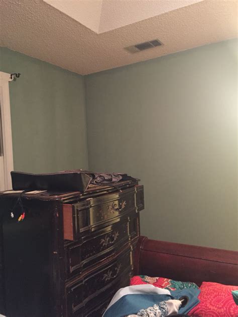 Sherwin Williams Environ Green | Interior paint colors, Interior