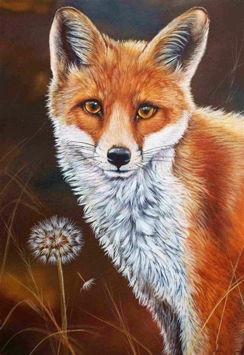 Fox Wildlife Paintings Wildlife Artists Animal Paintings Animal