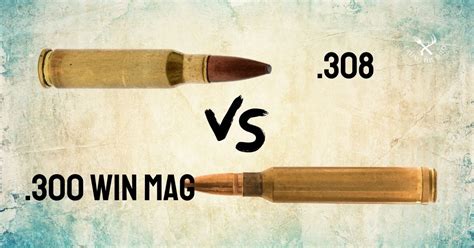 308 Vs 300 Win Mag Which Is Better