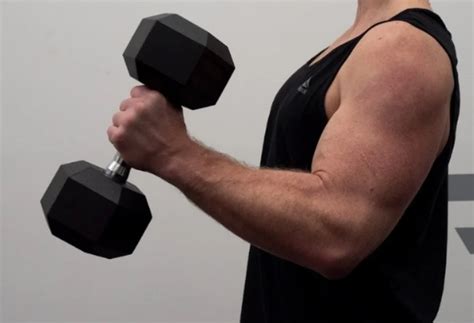 Reverse Curls Vs Hammer Curls Vs Regular Curls All You Need To Know