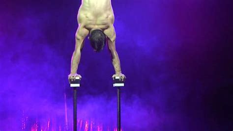 Moscow State Circus Comes To Newcastle Chronicle Live