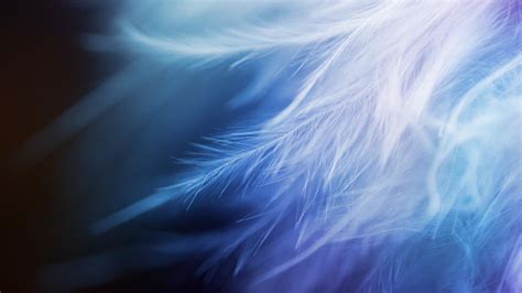 Free Download Abstract Feathers Wallpaper X For Your Desktop Mobile Tablet