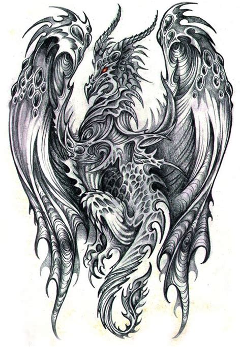 Excellent Pencil Drawings Of Dragon Hình Xăm Phượng Hoàng Hình Xăm