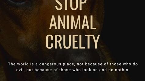 Petition · Stop Animal Cruelty ·