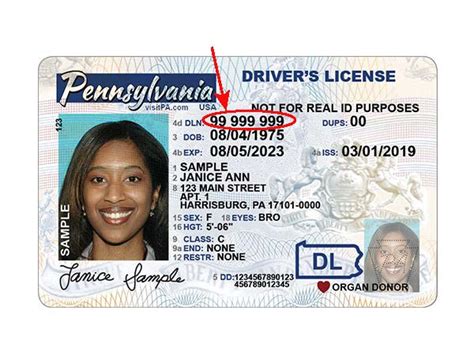 What do i do if my overseas license is not valid in malaysia? PennDOT Extends Expiration Dates on Driver Licenses ...