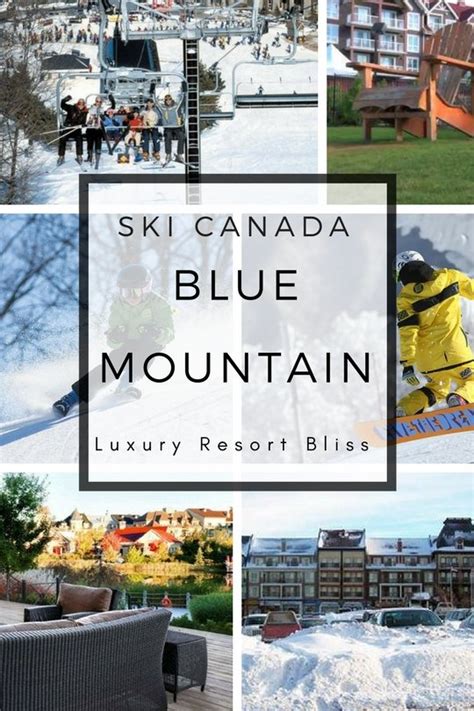 Blue Mountain Ski Resort Reviews