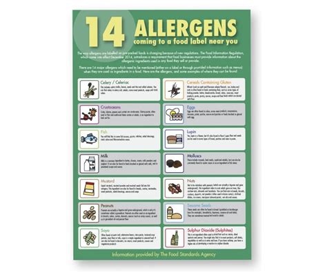 The 14 Allergens Guide For Staff Notice A3 Poster Allergen Signs