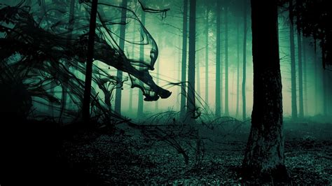 Scary Forest Wallpaper 57 Images