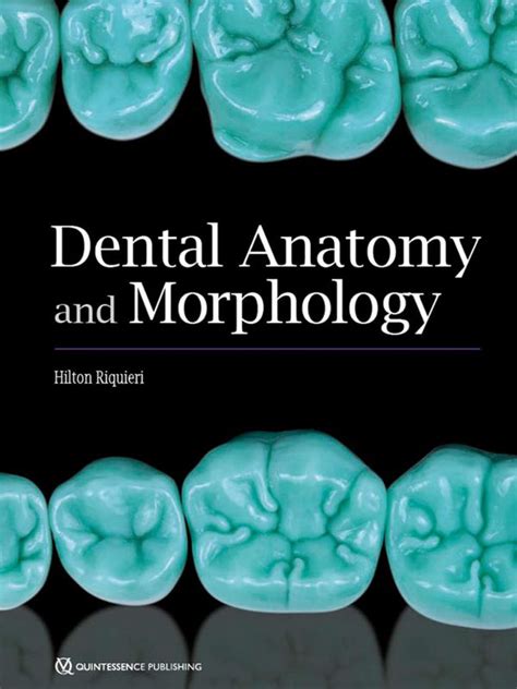 Concise Dental Anatomy And Morphology Fuller Anatomy Tooth Morphology