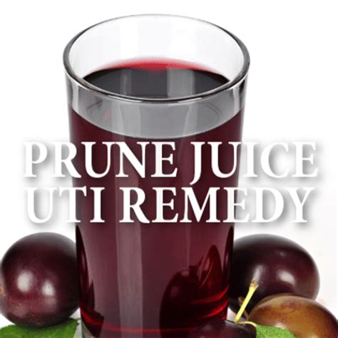 Department of health & human services (hhs), a uti is an infection affecting any part of the urinary system — the body's management system for disposing. Dr Oz: Prune Juice + Healthy Fats To Prevent Urinary Tract ...
