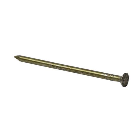 Primesource 10 14 X 2 12 In 8 Penny Vinyl Coated Steel Common Nail