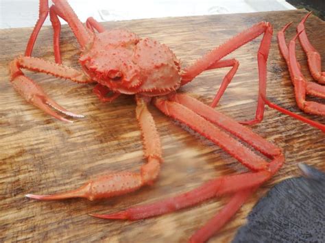 The Different Types Of Alaskan Crab