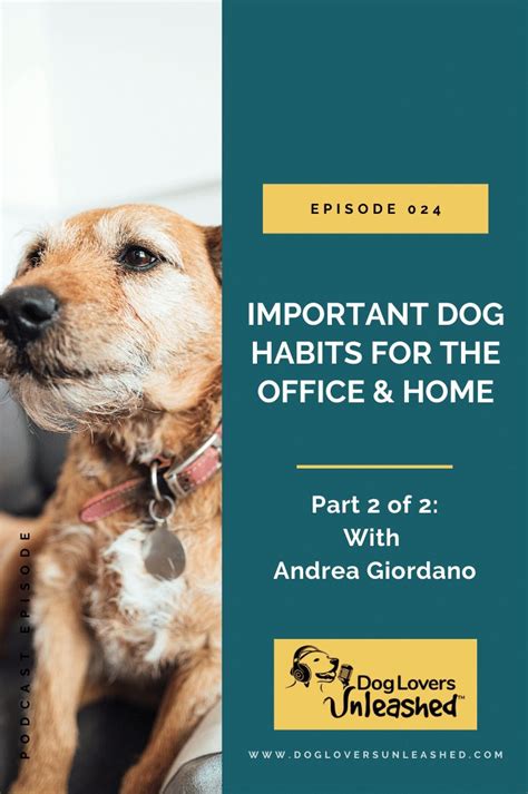 Important Dog Habits For The Office And Home With Andrea Giordano