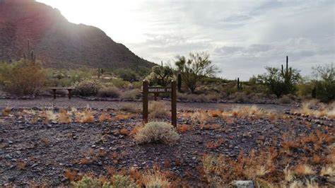 Picacho Peak State Park Campground