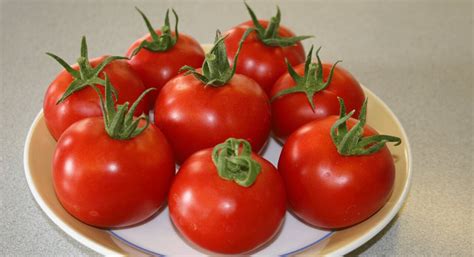 Organic Tomato Seed Kings Seeds