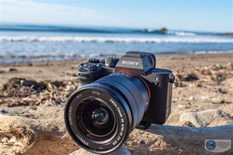 Sony A7 Iv Review Underwater Photography Guide