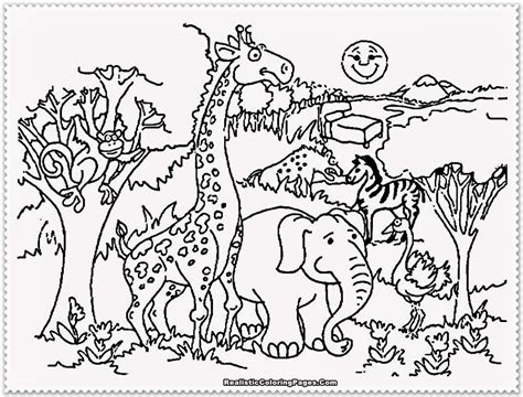 Zoo Animals Drawing At Getdrawings Free Download