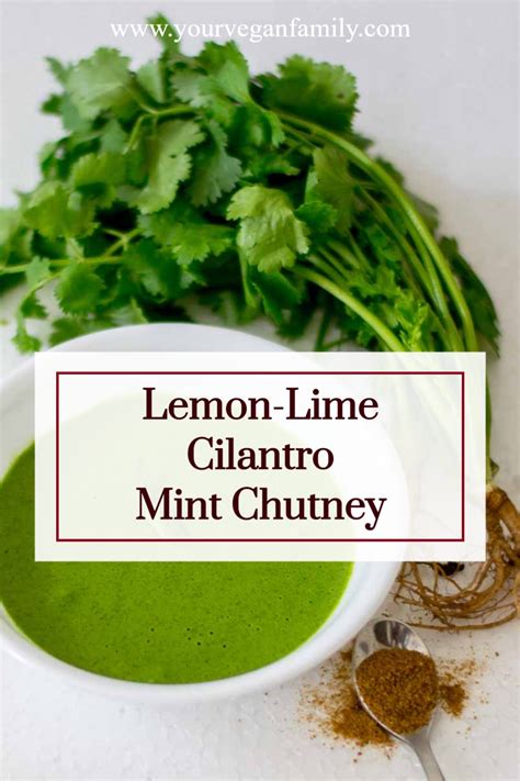 Lemon Lime Cilantro Mint Chutney In 2021 Chutney Recipes Coriander
