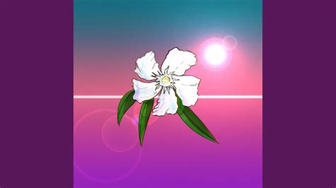 Oleander Youtube