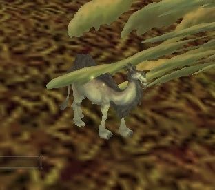Find mysterious camel figurine (mount). Mysterious Camel Figurine - NPC - World of Warcraft