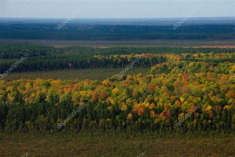 Siberian Taiga Aerial View — Stock Photo © Ressormatt 94138488