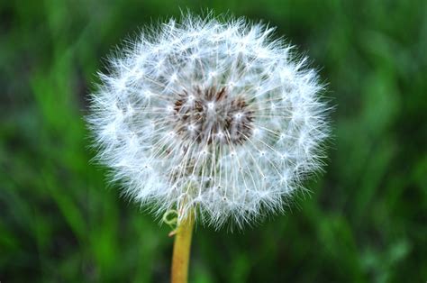 Natural Sphere | Flickr - Photo Sharing!