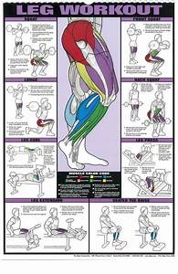 Exercices De Musculation Jambes Workout Posters Workout Chart