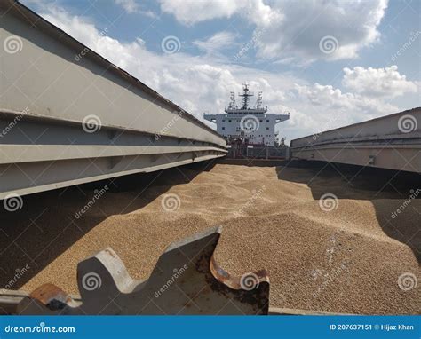 Grain Cargo Fully Loaded In The Bulk Carrier Ship Stock Image Image