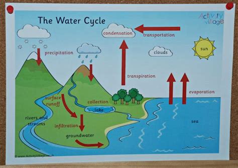 Activity Villages Water Cycle Poster Up On Our Board Water Cycle