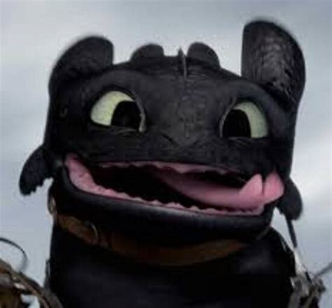 Cute Toothless Poster By The Last Dragon Redbubble