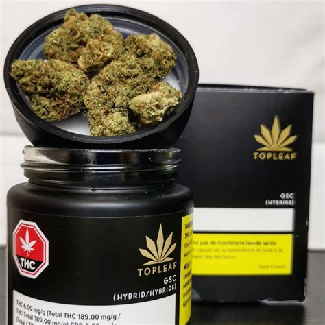 The zookies strain, sometimes referred to as the zoo cookies strain, is a hybrids that often produces thc levels as high as 30% and creates a . Strain Review: GSC by Top Leaf - The Highest Critic