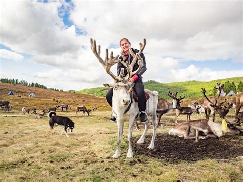 The Complete Guide To Visiting Mongolias Mystical Tsaatan Reindeer