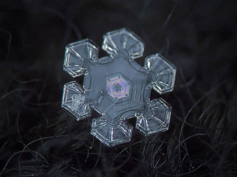 Breathtaking Snowflakes Macro Photography By Russian Artist Alexey Kljatov