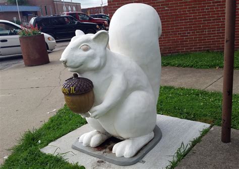 As a premier internet, tv and phone provider for your home throughout central illinois and livingston, woodford and marion counties, and a business solutions provider in champaign and throughout illinois, our customer service and business sales teams are ready to help. The White Squirrels Are (Almost) Everywhere in Olney ...
