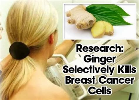 The Natural Health Page New Research Ginger Selectively Kills Breast Cancer Cells