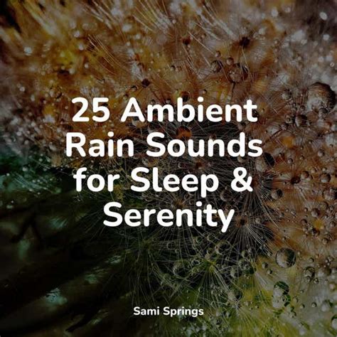 25 Ambient Rain Sounds For Sleep And Serenity By Sound Sleeping Chakra Balancing Sound Therapy