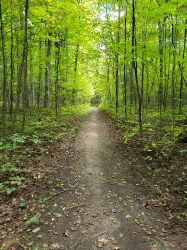 Best Hikes And Trails In Simcoe County Forests Alltrails