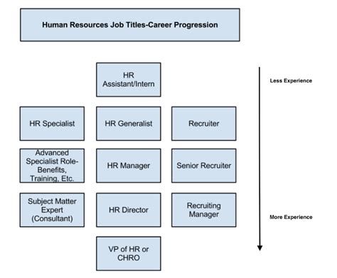 Creative Data Networks The Ultimate Guide To Human Resources